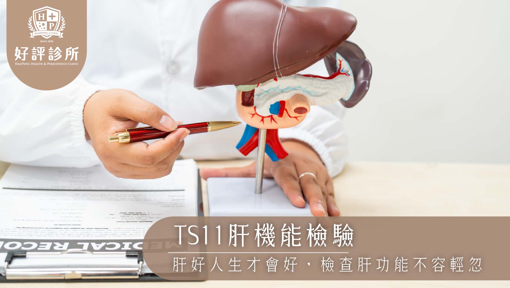 TS11 肝機能檢驗